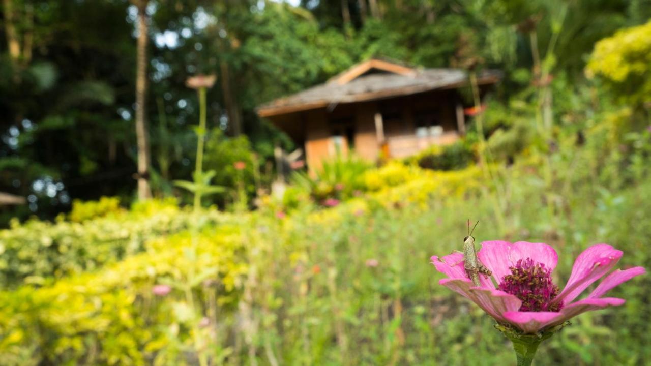 K2 Lembeh Dive Resort Bitung Екстериор снимка
