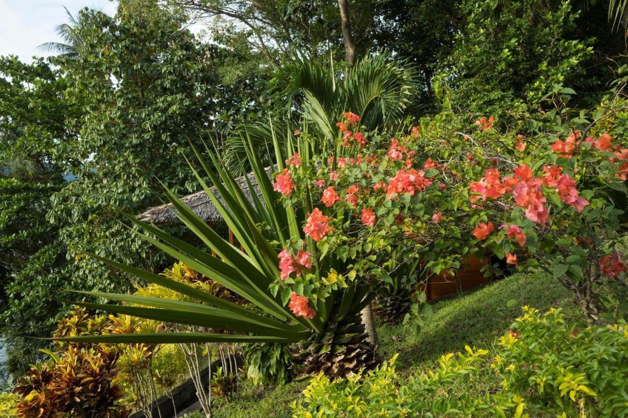 K2 Lembeh Dive Resort Bitung Екстериор снимка